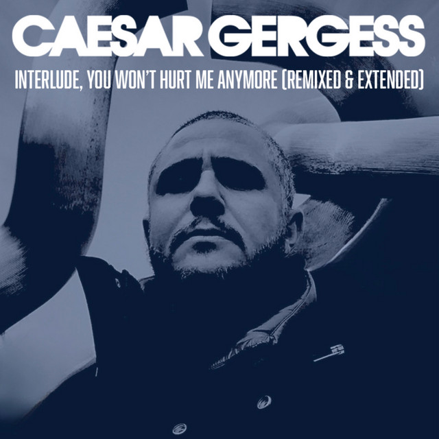 Interlude, You Won't Hurt Me Anymore (Remixed & Extended) cover art