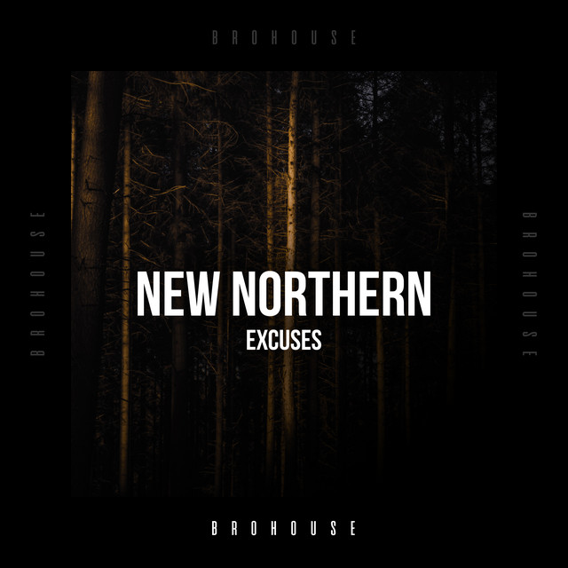 Excuses album art