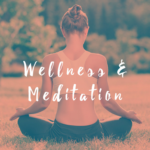 Wellness & Meditation cover art
