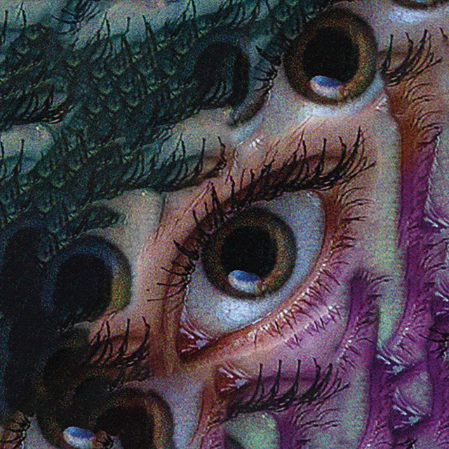 blue gaze cover art
