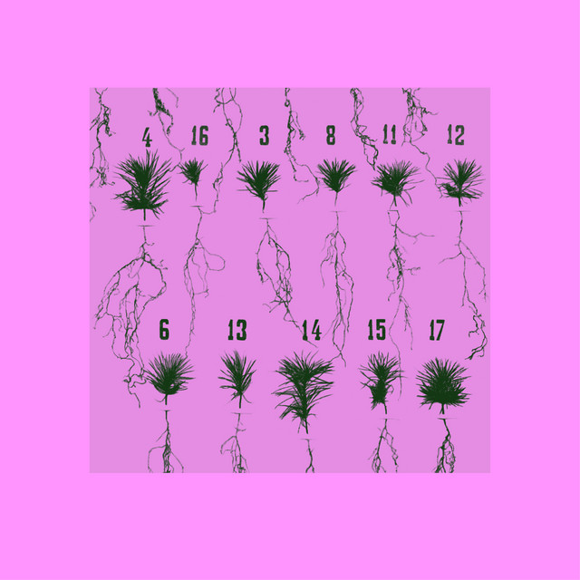Imaginary Solutions cover art