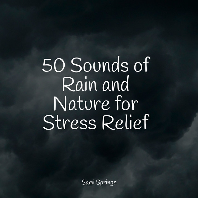 50 Sounds of Rain and Nature for Stress Relief - Album by Happy Baby ...