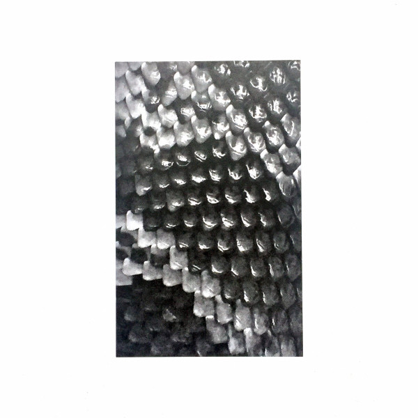 Pipes Escape Me cover art