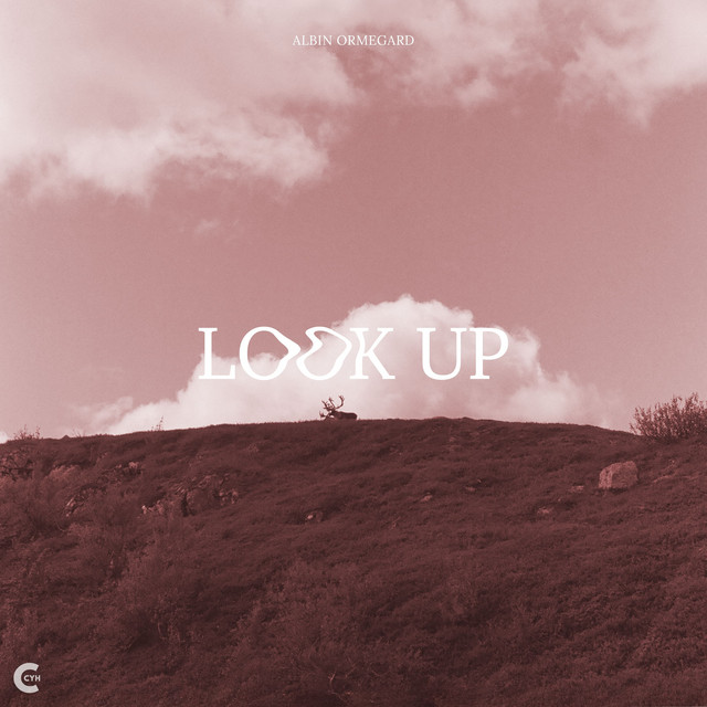 Look Up cover art
