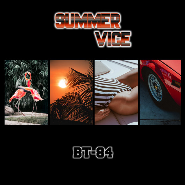 Summer Vice cover art