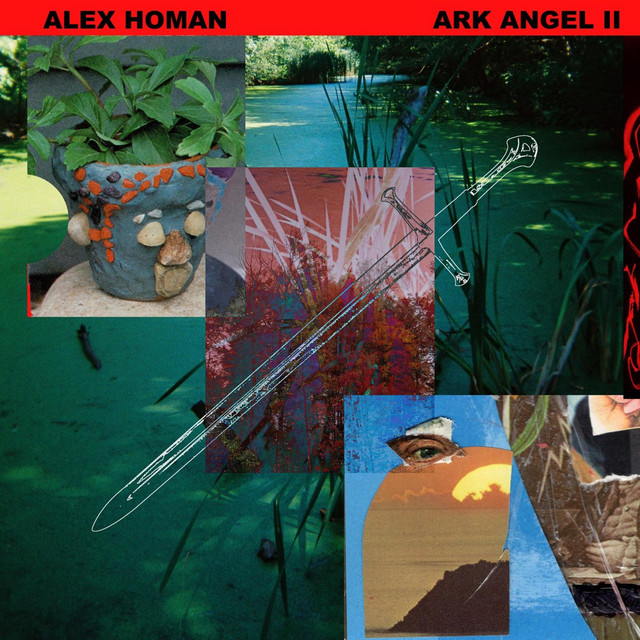 Ark Angel II cover art