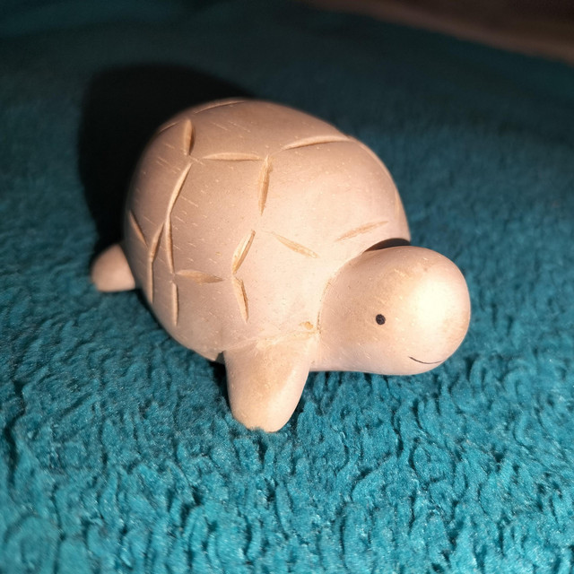 Dancing turtle cover art