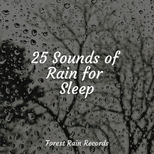25 Sounds of Rain for Sleep - Album by Ocean Sounds | Spotify