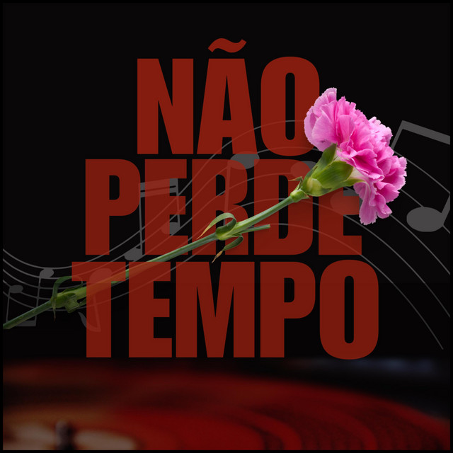 Não perde tempo