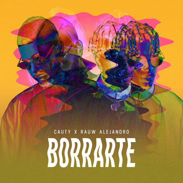 Borrarte cover