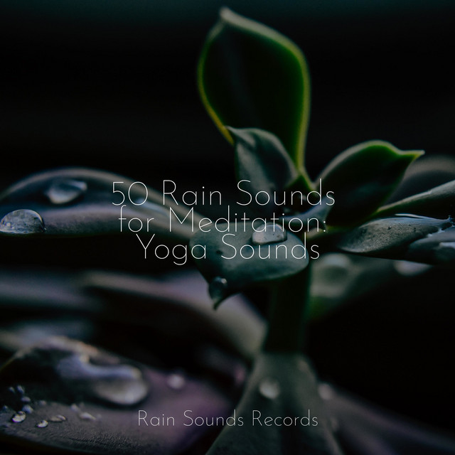50 Rain Sounds for Meditation: Yoga Sounds cover art