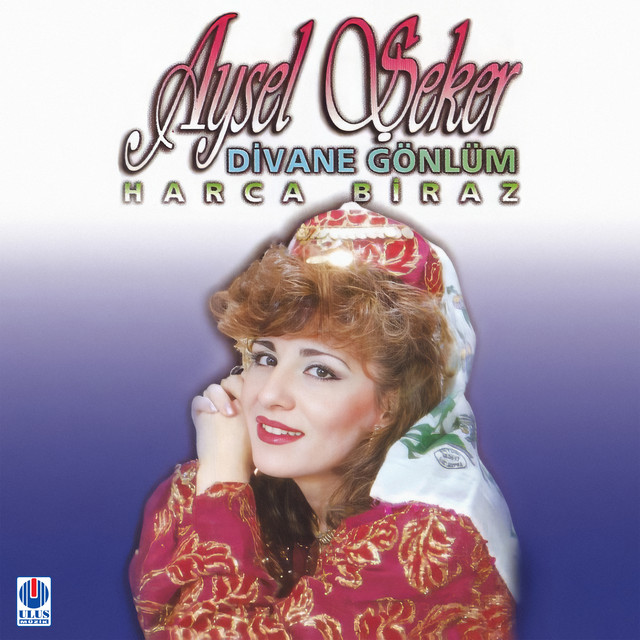 Divane Gönlüm / Harca Biraz cover