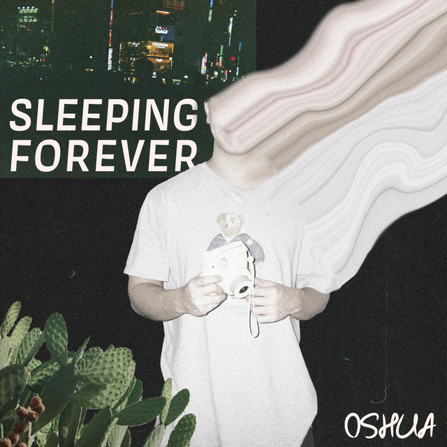 Sleeping Forever cover art