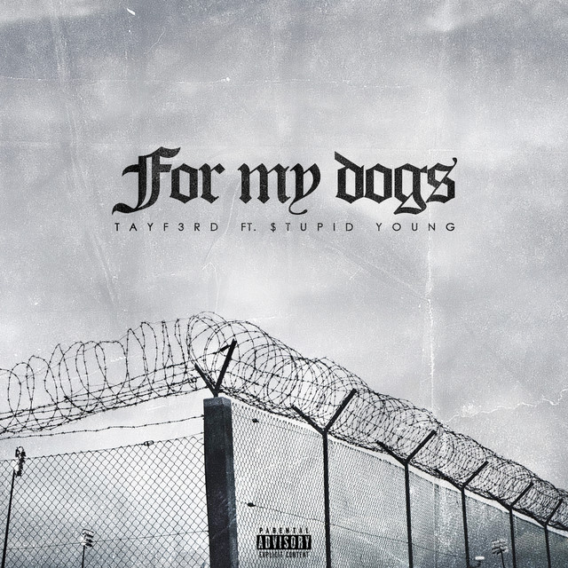 For My Dogs cover