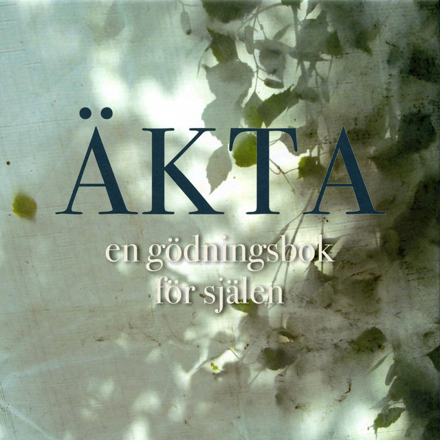 Just Idag är Jag Stark Tröja