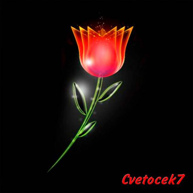 Седая ночь cover art
