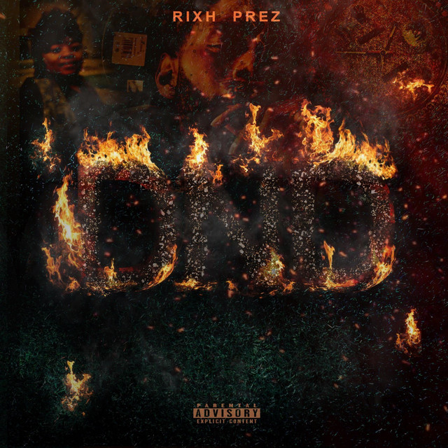 Do Not Disturb cover art