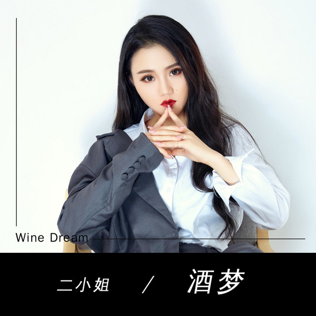 酒梦（丁丁） cover art