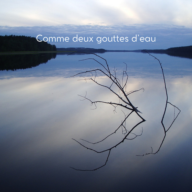Cover du titre Comme deux gouttes d'eau