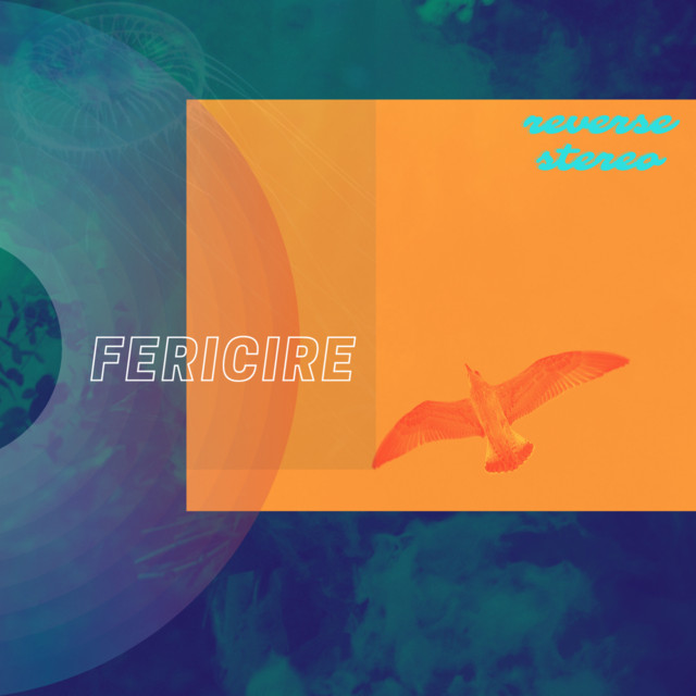 Reverse Stereo – Fericire