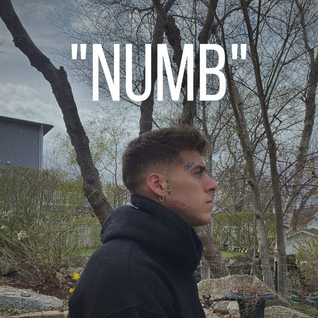 Numb cover art