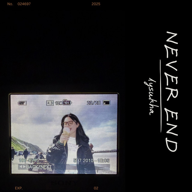 Обкладинка: never end — lysukha