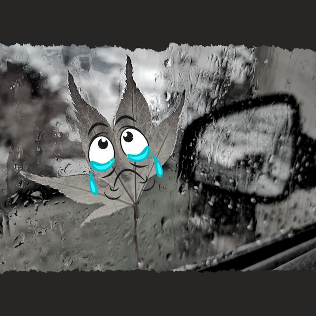 Crying in the Rain cover art