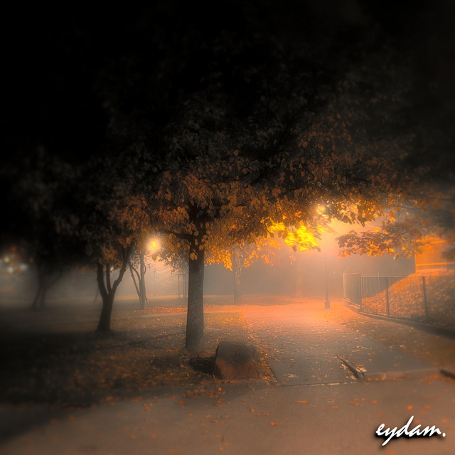 Wandering