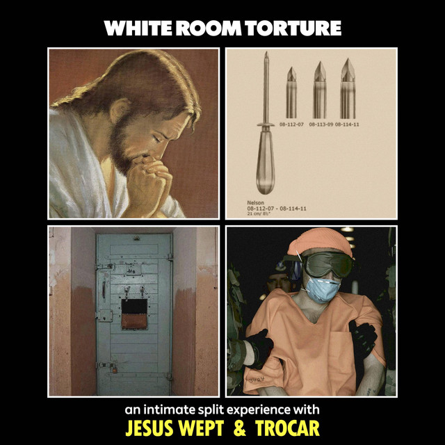 White Room Torture cover