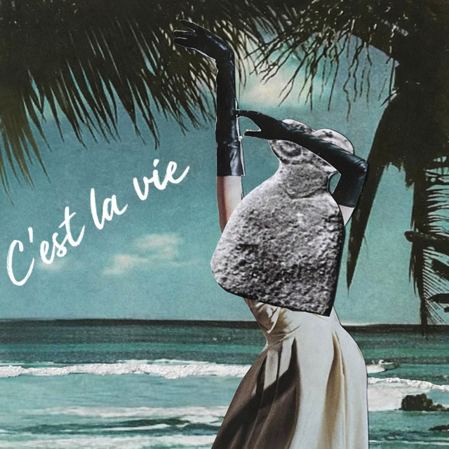 Обкладинка: C'est la vie — FUNKINBIZ