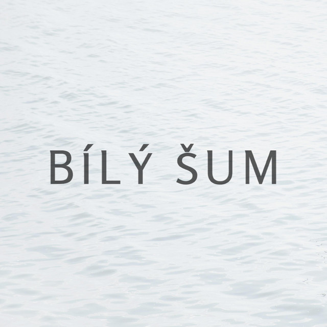 BÍLÝ ŠUM cover art