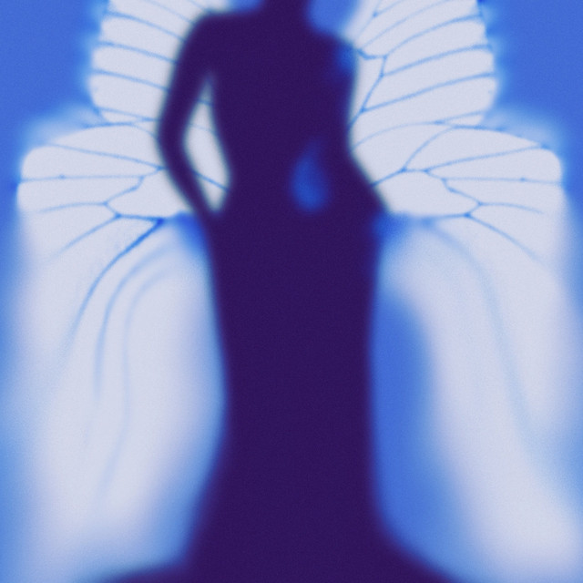 She Can Fly Free