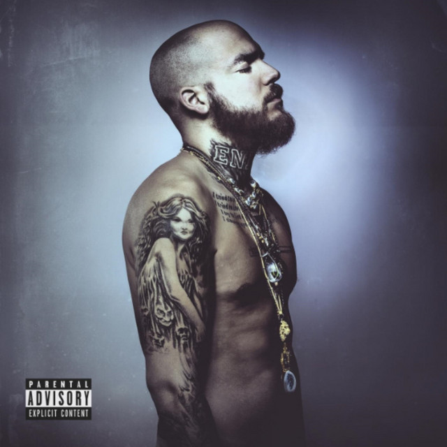 The Indigo Kid cover art