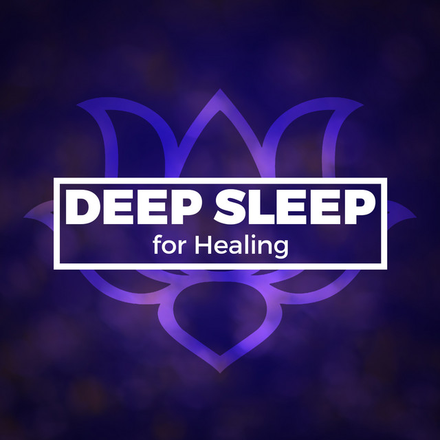 Deep Sleep for Healing by Deep Sleep Systems