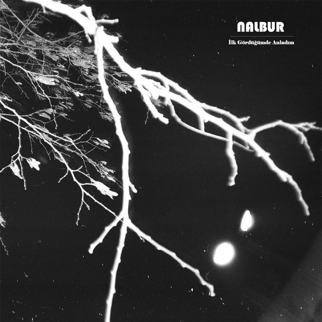 İlk Gördüğümde Anladım cover art