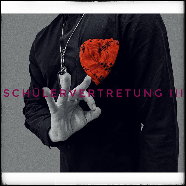 Schülervertretung 3 cover
