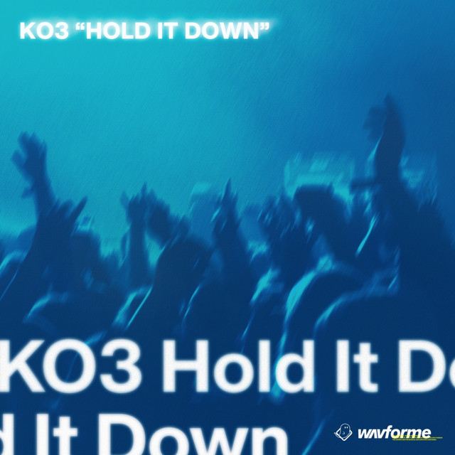 Hold It Down cover