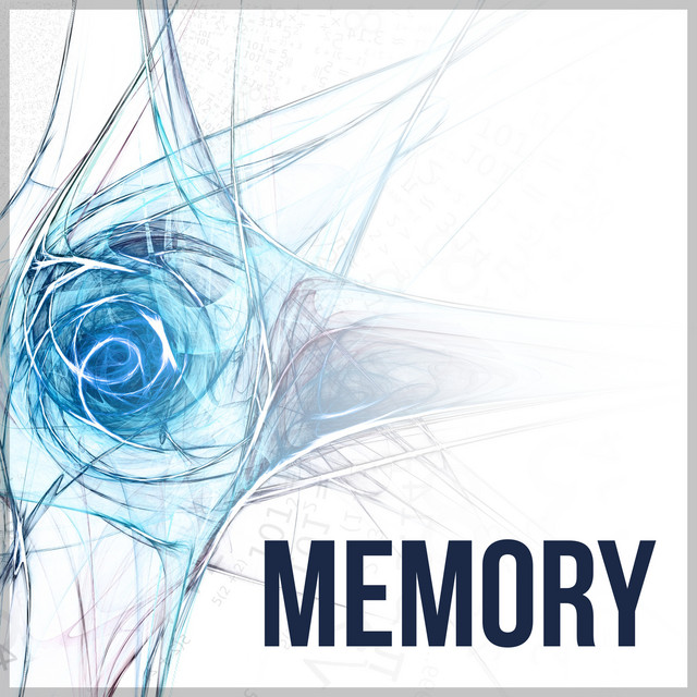Memory - Meditation and Focus on Learning, Enchant Your Memory ...