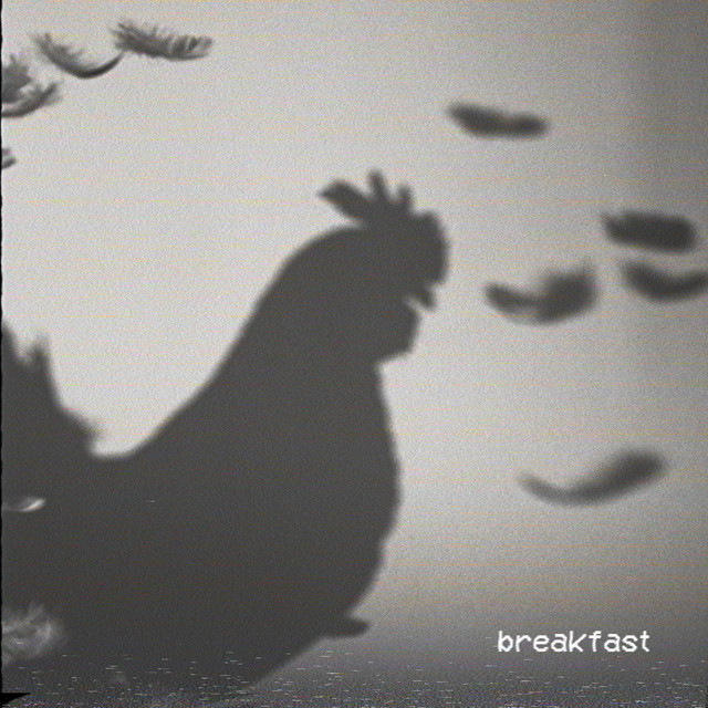 Breakfast cover