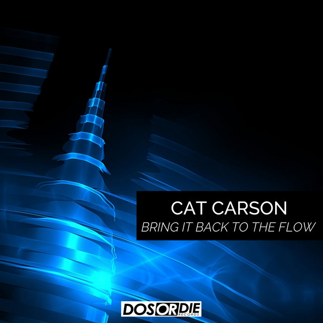 Bring It Back to the Flow - Original Mix cover art