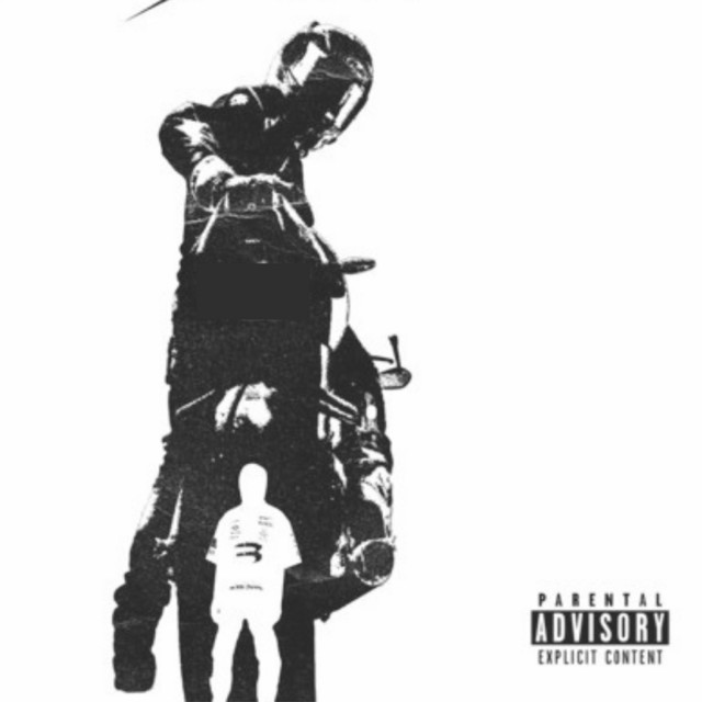Fighting cover art