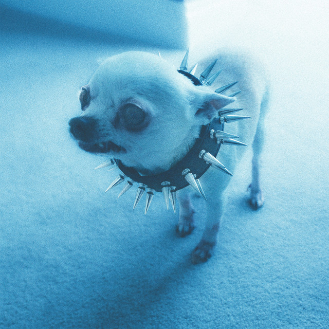 Wishbone cover art