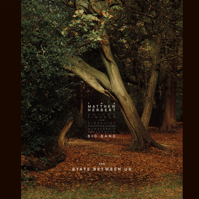 The State Between Us cover art