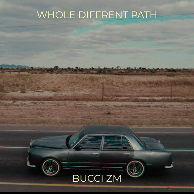 Whole Diffrent Path