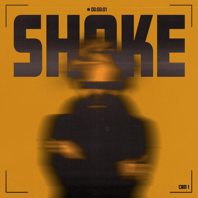 Album art for Shake
