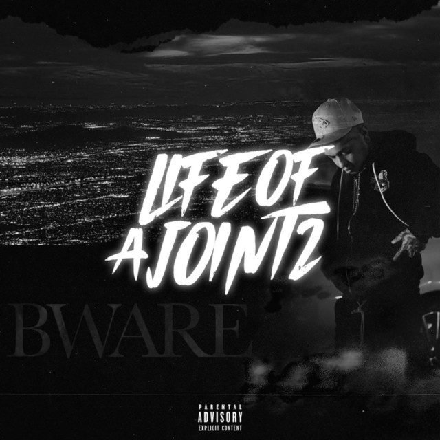 Life Of a Joint 2 cover art
