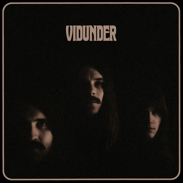 Vidunder cover art