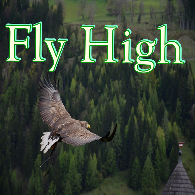 Fly High cover art