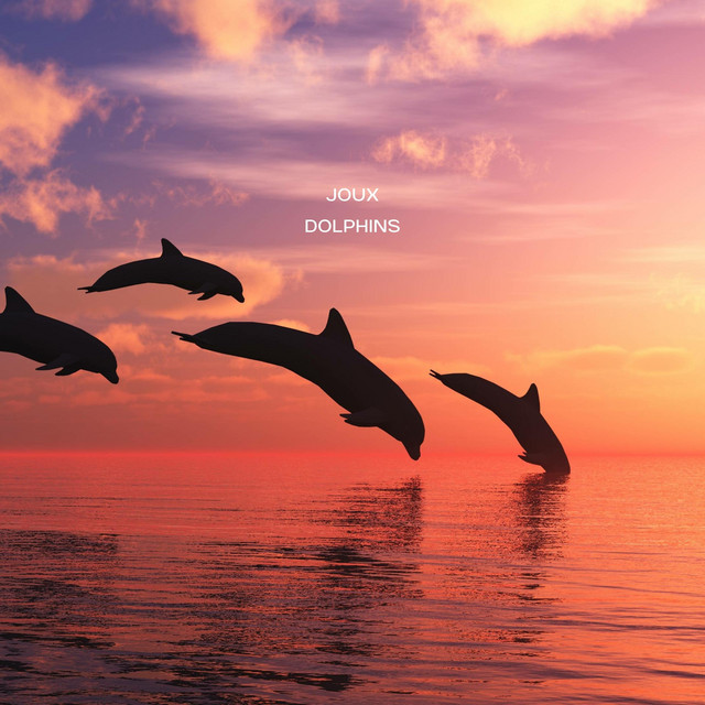 Dolphins cover art