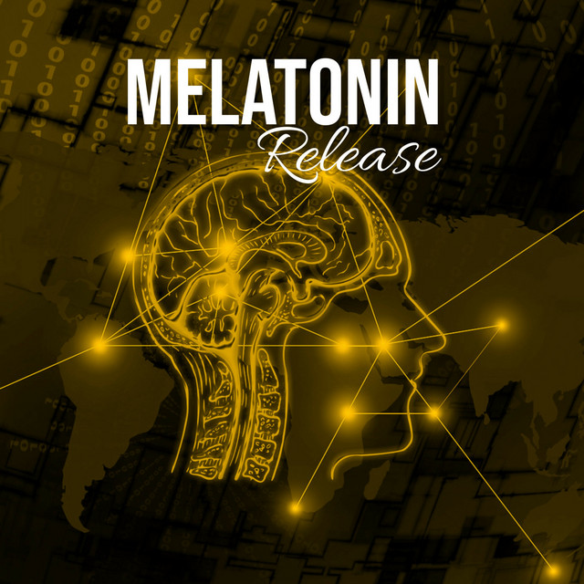 Sleep Study cover art